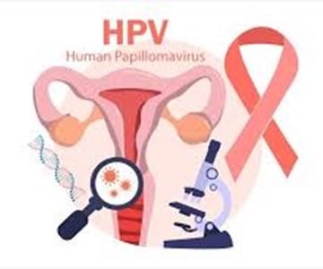 HPV - Genital siğil-HPV Aşısı